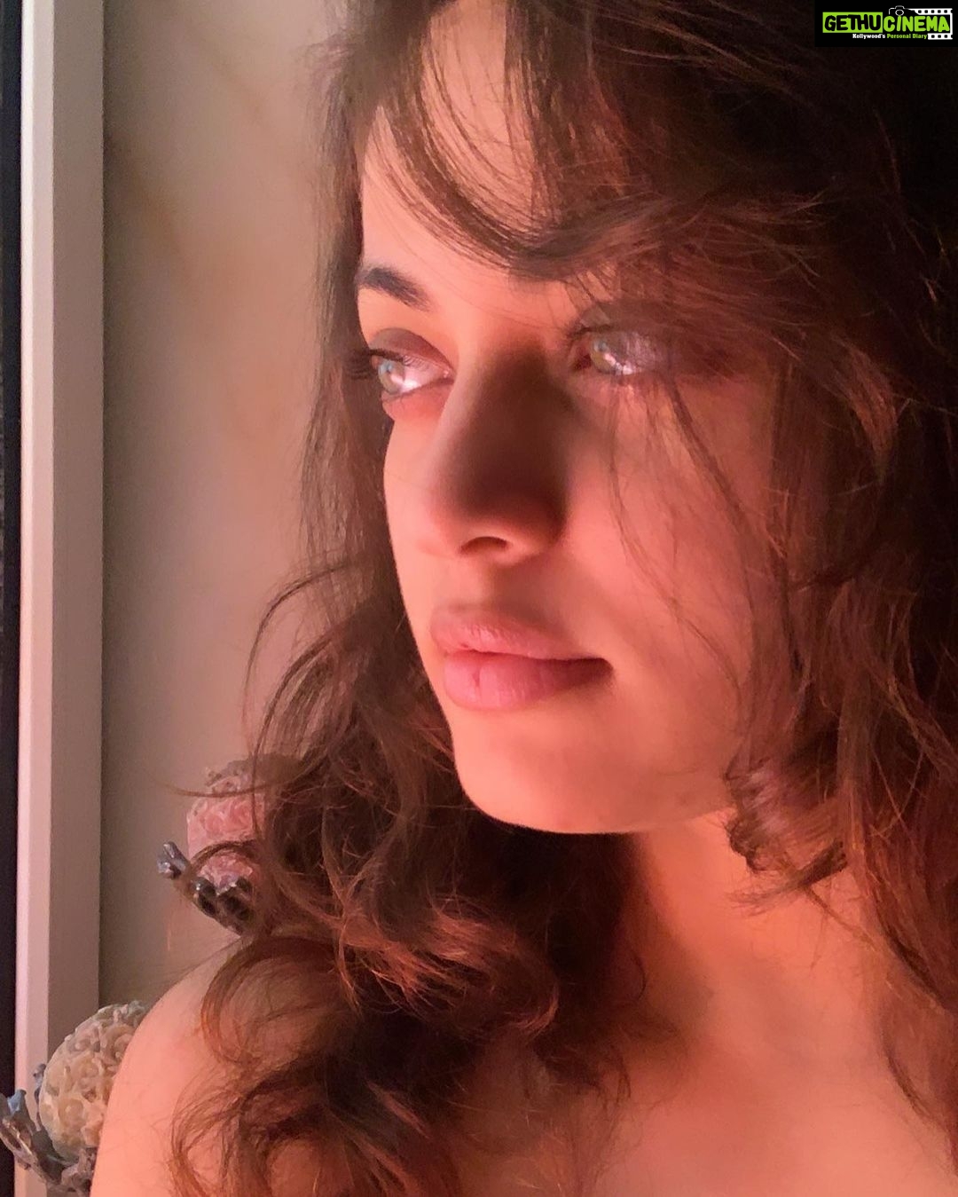 Sneha Ullal - 23.7K Likes - Most Liked Instagram Photos