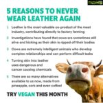 Sneha Ullal Instagram - 5 reasons to never wear LEATHER again.YOU READ THAT RIGHT.SWIPE left to know more.#snehaullal #vegan #crueltyfree