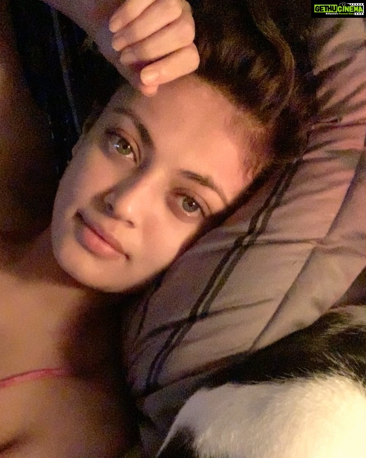 Sneha Ullal Instagram - Look who sleeps with me every night. 🐈⬛ Picket girl. #snehaullal
