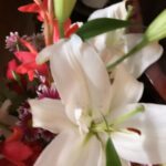 Sneha Ullal Instagram - 18th december.Bday flowers #snehaullal