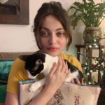 Sneha Ullal Instagram - Home sweet Home.My Picket girl is being moody today. #snehaullal #vegan #crueltyfree