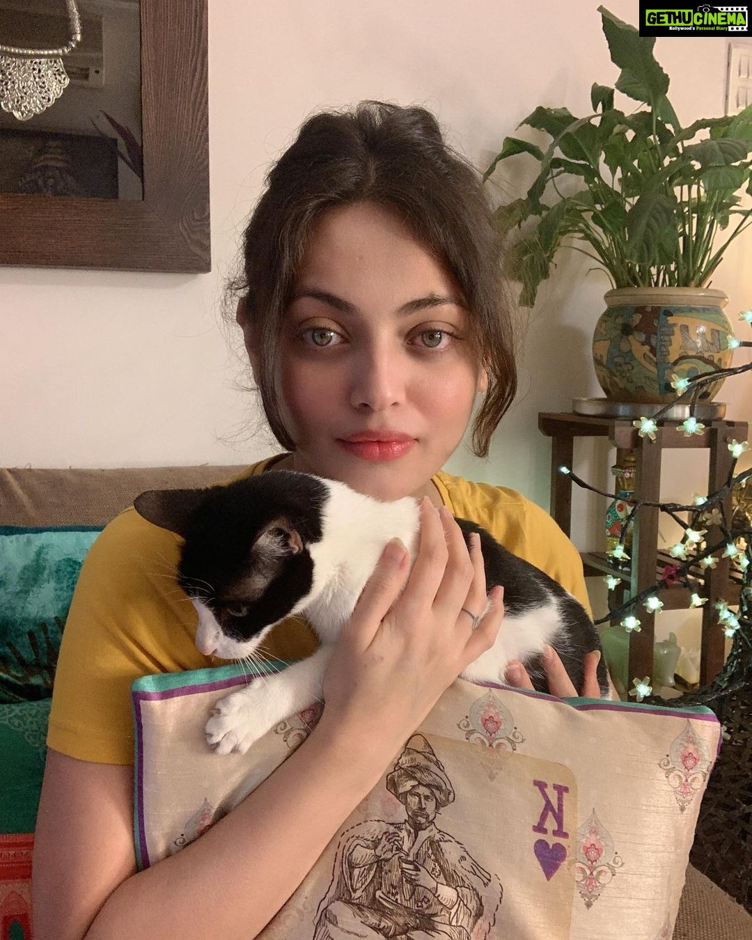 Sneha Ullal Instagram - Home sweet Home.My Picket girl is being moody today. #snehaullal #vegan #crueltyfree