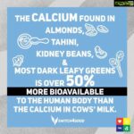 Sneha Ullal Instagram - The first question people ask me when i say i dont consume animal’s milk is “what about your calcium”. Well now you know.#vegan #snehaullal #plantbased