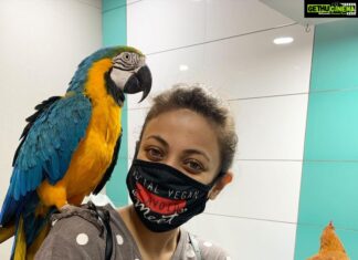 Sneha Ullal Instagram - Vet visit.Got the Hen checked by @drrinadevexoticvet .Shes healthy & infection-free.Meanwhile made friends with a Macaw 🦜.#vegan #snehaullal #crueltyfreelife