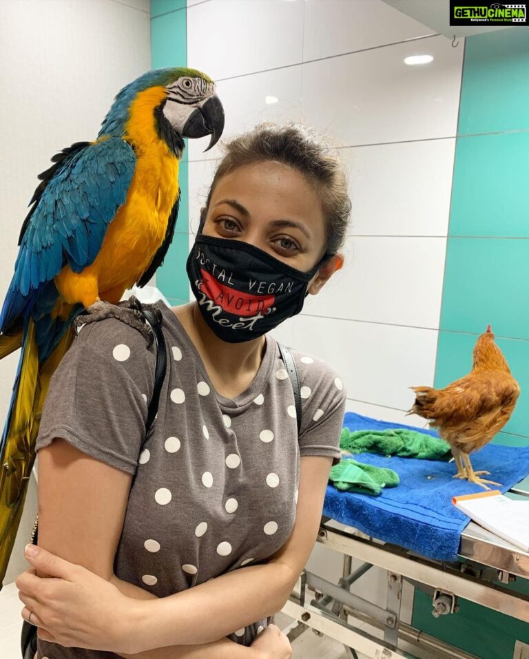 Sneha Ullal Instagram - Vet visit.Got the Hen checked by @drrinadevexoticvet .Shes healthy & infection-free.Meanwhile made friends with a Macaw 🦜.#vegan #snehaullal #crueltyfreelife