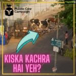 Sneha Ullal Instagram – ALERT
 @plasticcowcampaign @thepersianladki 💚💚💚
Glad to see people make efficient use of social media.#plasticcowcampaign #snehaullal #vegan