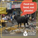 Sneha Ullal Instagram – ALERT
 @plasticcowcampaign @thepersianladki 💚💚💚
Glad to see people make efficient use of social media.#plasticcowcampaign #snehaullal #vegan