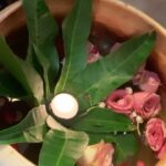 Sneha Ullal Instagram – Our eco friendly visarjan in our very own home.After few days we will use the dissolved clay and grow an indoor plant. 🍃 #snehaullal #ganeshchaturthi @saumyaullal @ajpropman @ushaullal19 @alisha_chand07