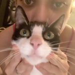 Sneha Ullal Instagram - Meow.. Picket girl says hello ..Meow