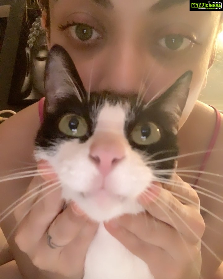 Sneha Ullal Instagram - Meow.. Picket girl says hello ..Meow
