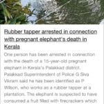 Sneha Ullal Instagram - Mr P Wilson from Kerala is one of the guys responsible for the elephants death.He is arrested and i hope the law punishes him and the others rightfully enough that it sets an example and hopefully prevents such hideous moments in the future. And for all of you who didn’t know this,let me enlighten you.Fruits or anything filled with explosives to kill or chase away wild boar or other animals in-order to protect crops etc. is also ILLEGAL.So pls read and understand our law or if not,understand this,does it even sound humane?Do animals deserve that kind of pain? As you know i have always fought for animal rights and i always will.I will never shy away from that.I feel its my calling on this earth to preach COMPASSION. I know many of you don’t agree with my Non-Violent diet,but sadly if you are unable to respect and feel the pain animals go through,the least you can do is be kinder to the people around you (if not animals around you).Be kinder in any way you can. We all need to heal.”WE ALL LACK COMPASSION” and we are all locked down for a reason thats bigger than #covid19 🙏🏻.”FIND YOUR REASON” #snehaullal #keep it real #vegan #crueltyfree #lockdown 💚
