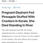 Sneha Ullal Instagram - To the people who did this,i wish i could ........... the living day lights out of you.Praying satan feeds on you soon.F******** a$$holes
