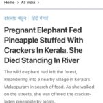 Sneha Ullal Instagram – To the people who did this,i wish i could ……….. the living day lights out of you.Praying satan feeds on you soon.F******** a$$holes