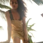 Sneha Ullal Instagram - 🌞🌱#snehaullal