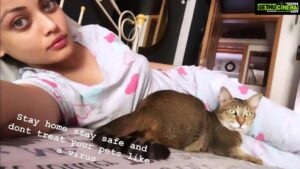 Sneha Ullal Instagram - #stayhome #snehaullal