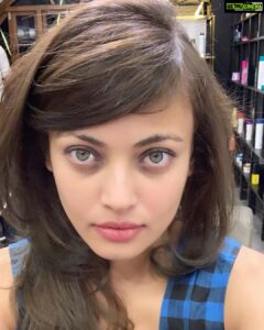 Sneha Ullal Instagram - 👑His hairness @ip_o_d @podhairdressingacademy 
Hair cut ✅
Hair spa ✅
Hair color toning & correction ✅