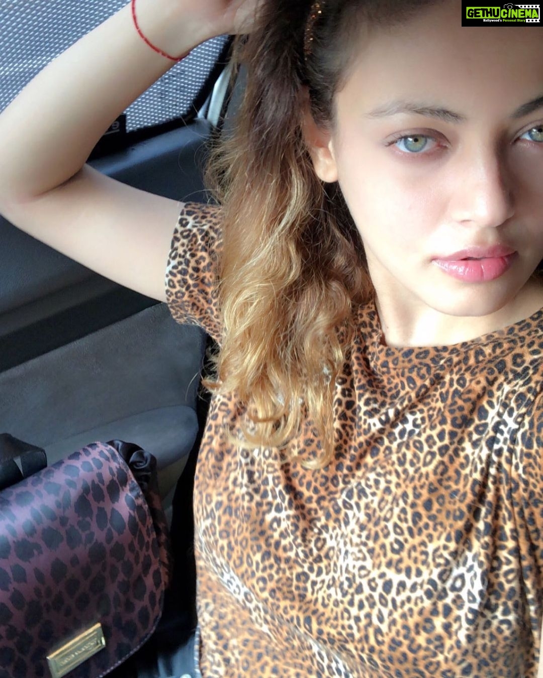 Sneha Ullal Instagram - Im not into selfies but here i am..