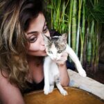 Sneha Ullal Instagram - Meow 😻
