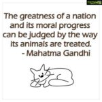 Sneha Ullal Instagram - #gandhijayanti