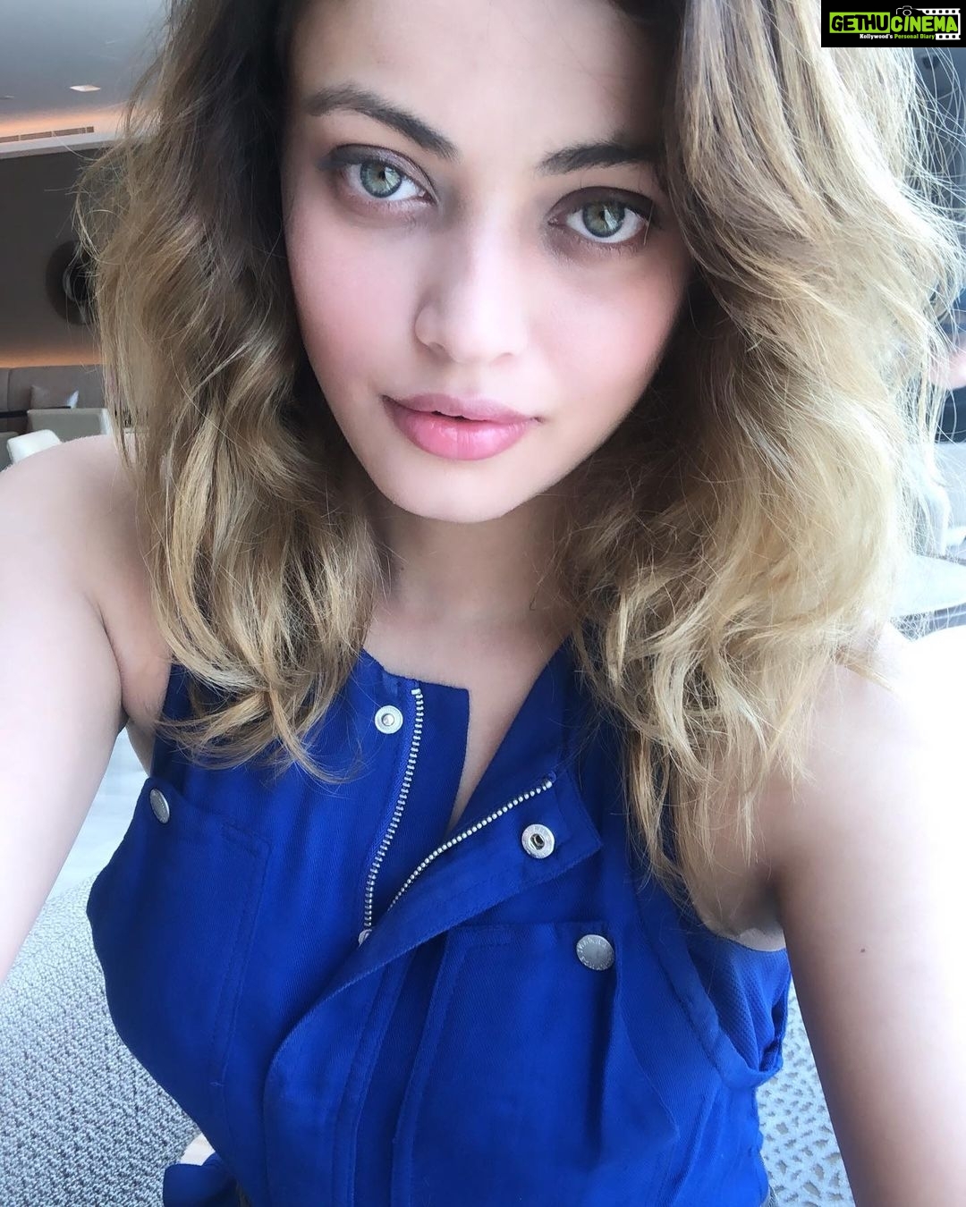Sneha Ullal - 23.9K Likes - Most Liked Instagram Photos