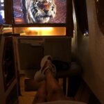 Sneha Ullal Instagram - Day-twilight-Night @emirates Somewhere in the Middle of No Where