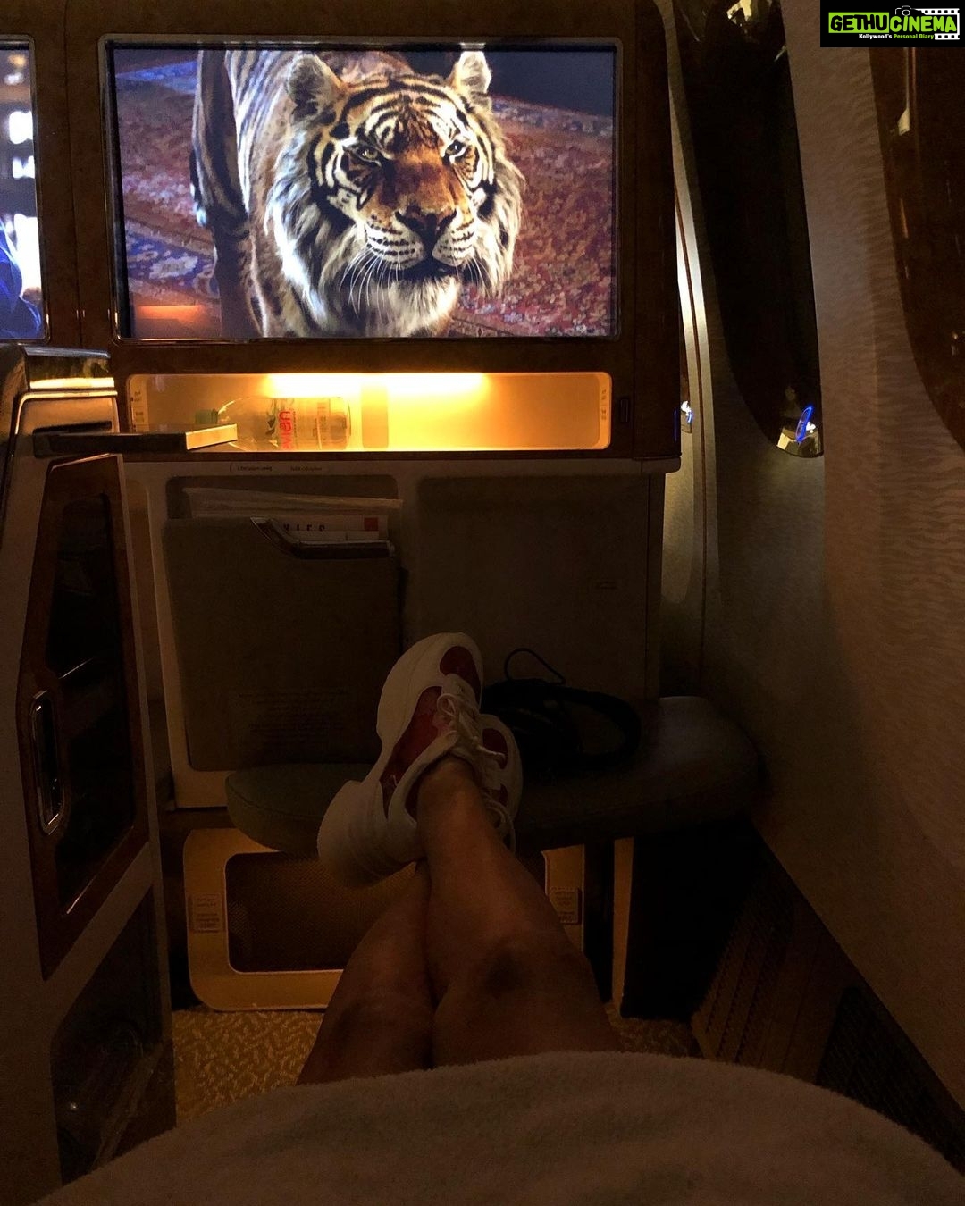 Sneha Ullal Instagram - Day-twilight-Night @emirates Somewhere in the Middle of No Where