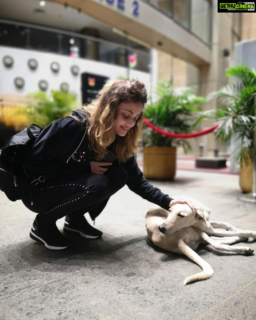Sneha Ullal Instagram - UNCONDITIONAL ❤️ . . . #snehaullal #crueltyfree #vegan #keepitreal