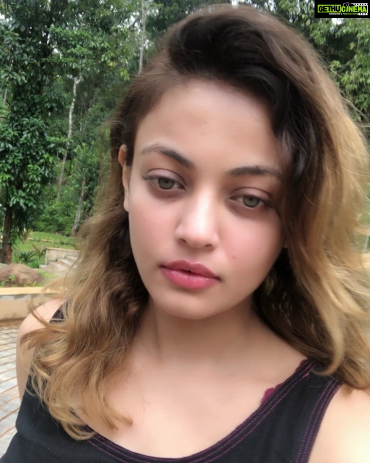 Sneha Ullal Instagram - Hear the sound of the forest?