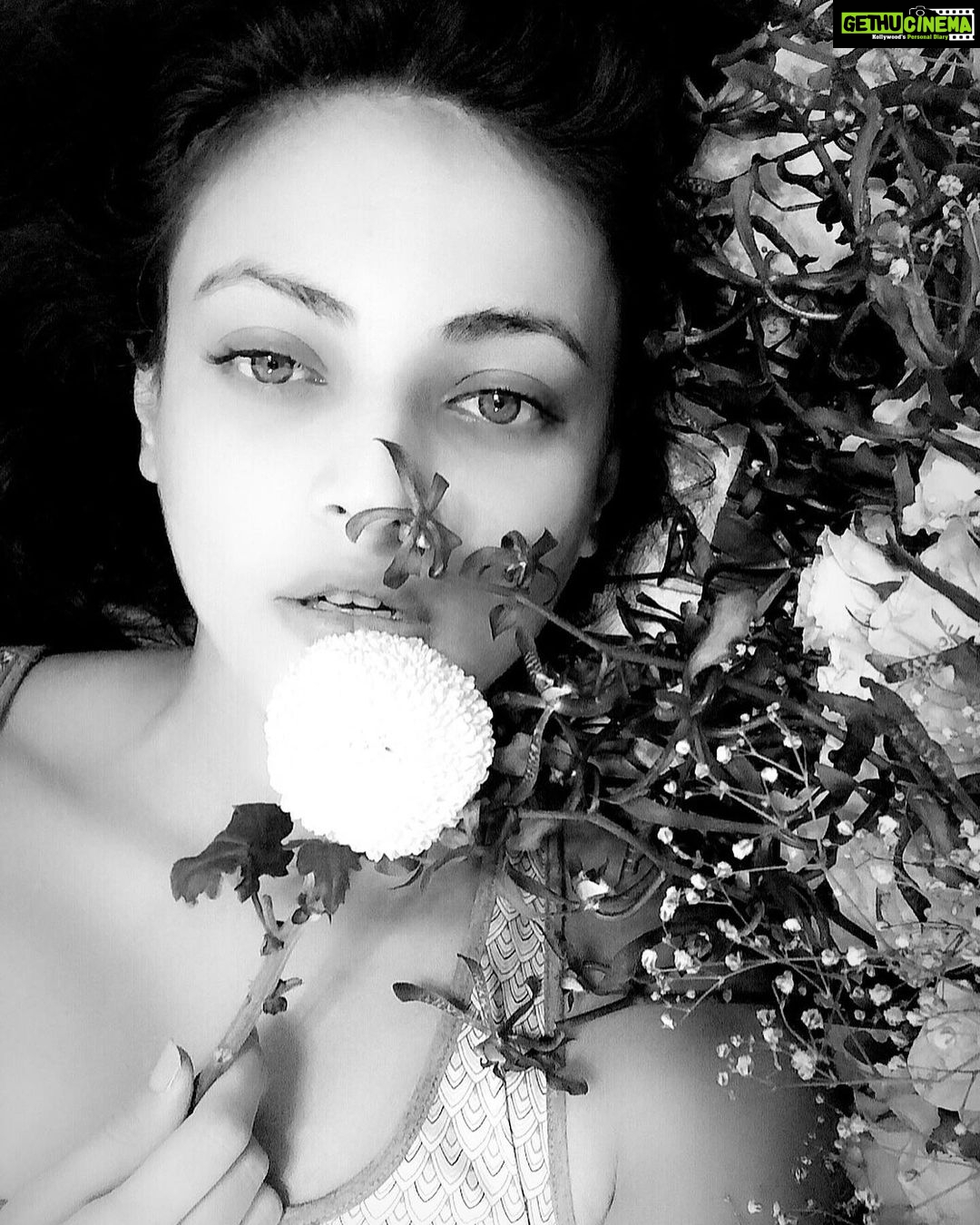 Sneha Ullal Instagram - Guess the color of that flower. And then slide ➡️
