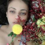 Sneha Ullal Instagram - Guess the color of that flower. And then slide ➡️