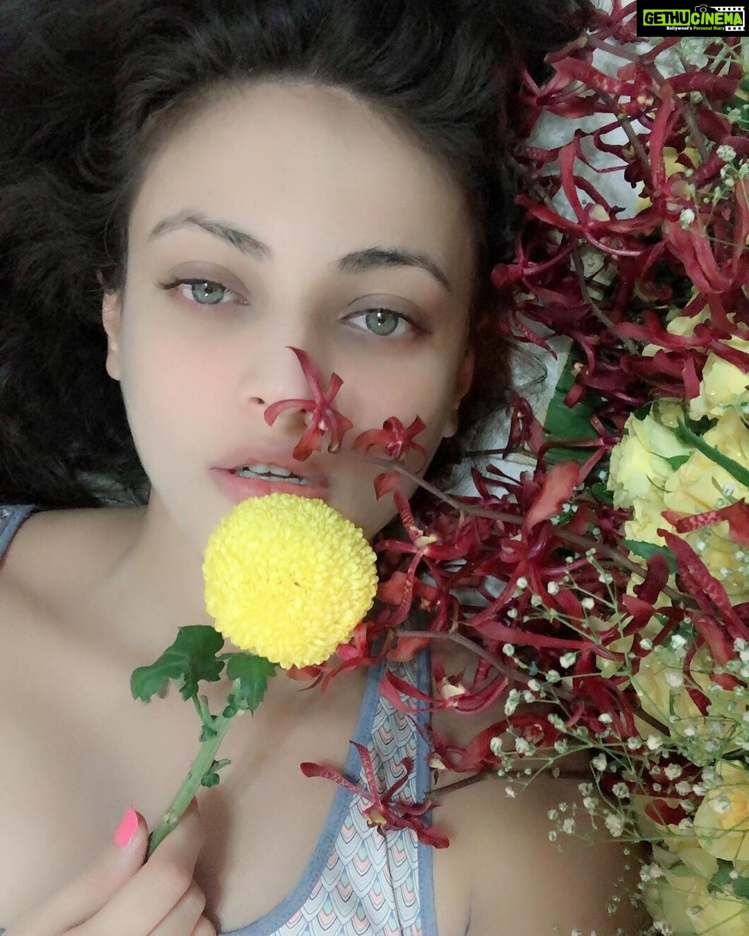 Sneha Ullal Instagram - Guess the color of that flower. And then slide ➡️