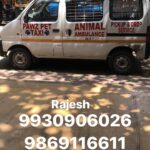 Sneha Ullal Instagram - Rajesh who is self funding an Animal Ambulance in Mumbai.He is just purely an animal lover and does this coz no one else does.Pls use his services for animals when needed.God bless 🙏🏻