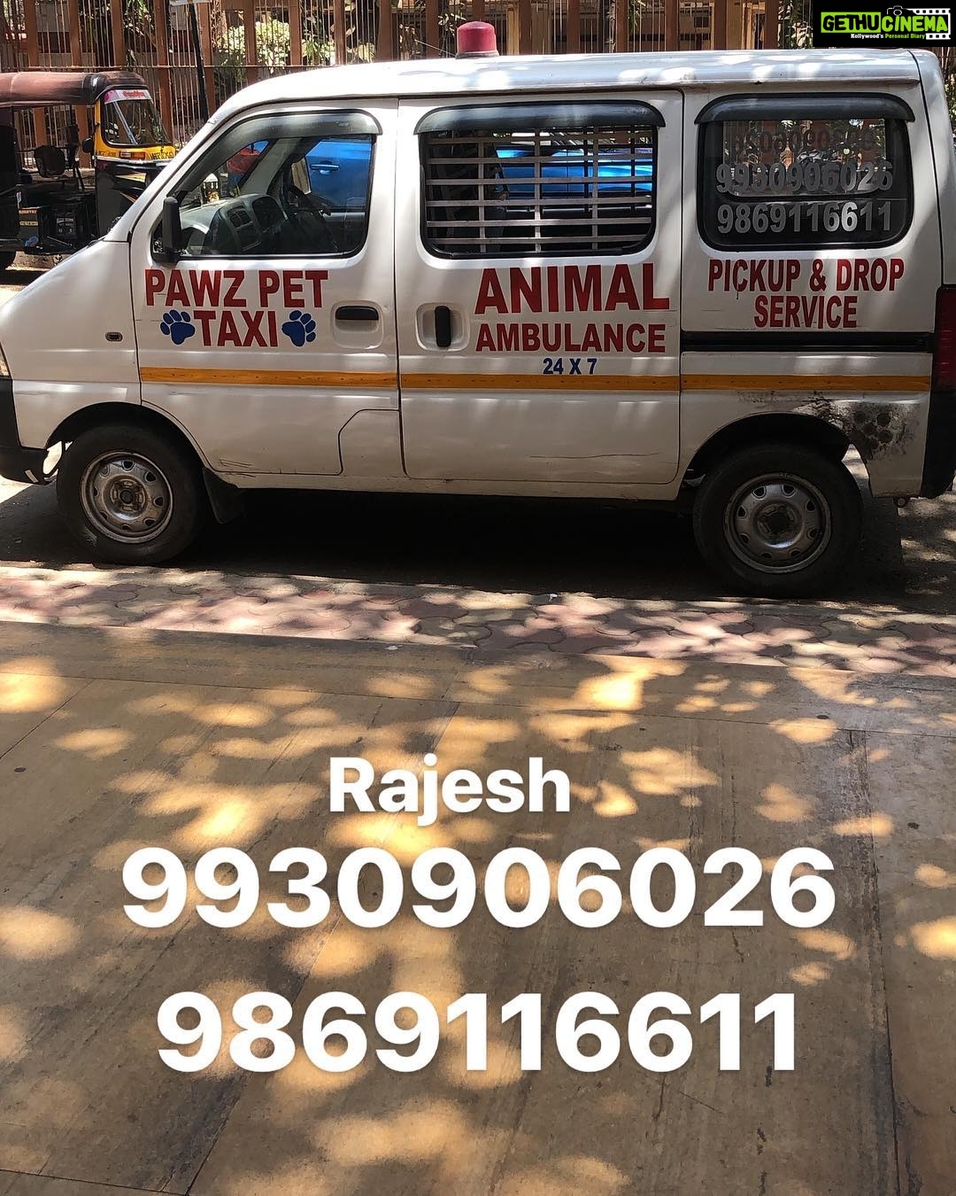 Sneha Ullal Instagram - Rajesh who is self funding an Animal Ambulance in   is just purely an animal lover and does this coz no one else   use his services for
