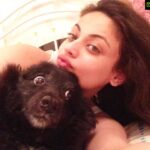 Sneha Ullal Instagram - 🐕 🖤