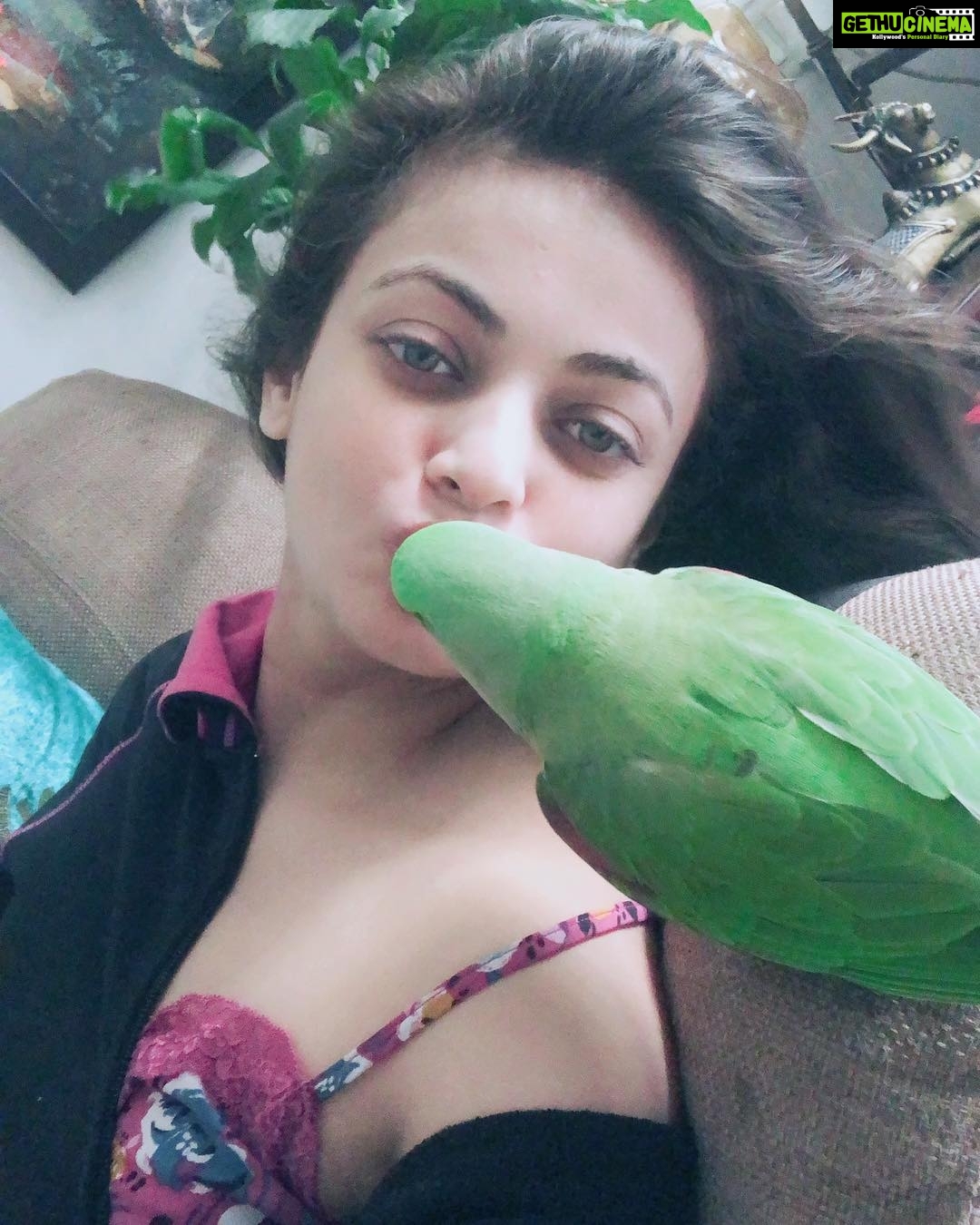 Sneha Ullal Instagram - Her name is Buddy and we make each other happy. #rescuedismyfavoritebreed