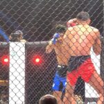 Sneha Ullal Instagram - Mixed Martial Arts is the next big thing and to introduce,initiate and promote a platform like The Matrix Fight night is just the beginning and a way to increase awareness and give a chance to our Indian Martial artiste to do what they are passionate about. A big congratulations to @tigerjackieshroff and @kishushroff for initiating and organizing a successful platform for our MMA fighters @mfn_mma . And congratulations to AIMMAA ( All India Mixed MARTIAL Arts Association ) for sanctioning the event and for making sure of the safety and law necessary for such critical sports. @avimittalofficial @tigersgymdan @fenandesalan