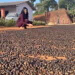 Sonu Gowda Instagram – Walking on coffee seeds with Ganesh uncle 😊😊😊 
if I don’t wear chappal, I will fall.. it’s the process of drying the seeds.. usually people wear shoes… it will be very slippery, can’t walk barefoot.. #sakaleshpura #karnataka #sonugowda