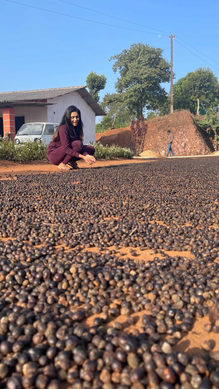 Sonu Gowda Instagram - Walking on coffee seeds with Ganesh uncle 😊😊😊 if I don’t wear chappal, I will fall.. it’s the process of drying the seeds.. usually people wear shoes… it will be very slippery, can’t walk barefoot.. #sakaleshpura #karnataka #sonugowda