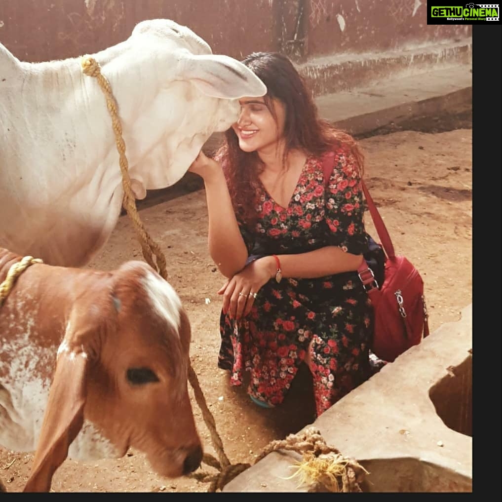 Sony Charishta Instagram - #🤗😊 #tamilactress #telugu #traditional #animaslover #animals #face #fashionlover #@animalflowofficial #green #makeup #mollywodactress #modeling #eyemakeup #kollywoodactress #kannda #blackandwhite #bestphoto #chennai #beutiful #actress