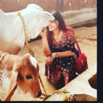Sony Charishta Instagram - #🤗😊 #tamilactress #telugu #traditional #animaslover #animals #face #fashionlover #@animalflowofficial #green #makeup #mollywodactress #modeling #eyemakeup #kollywoodactress #kannda #blackandwhite #bestphoto #chennai #beutiful #actress