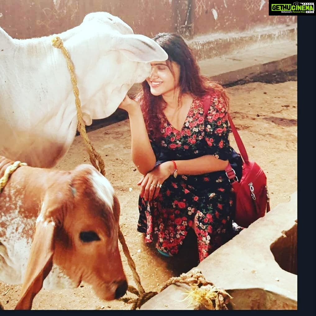 Sony Charishta Instagram - #🤗😊 #tamilactress #telugu #traditional #animaslover #animals #face #fashionlover #@animalflowofficial #green #makeup #mollywodactress #modeling #eyemakeup #kollywoodactress #kannda #blackandwhite #bestphoto #chennai #beutiful #actress