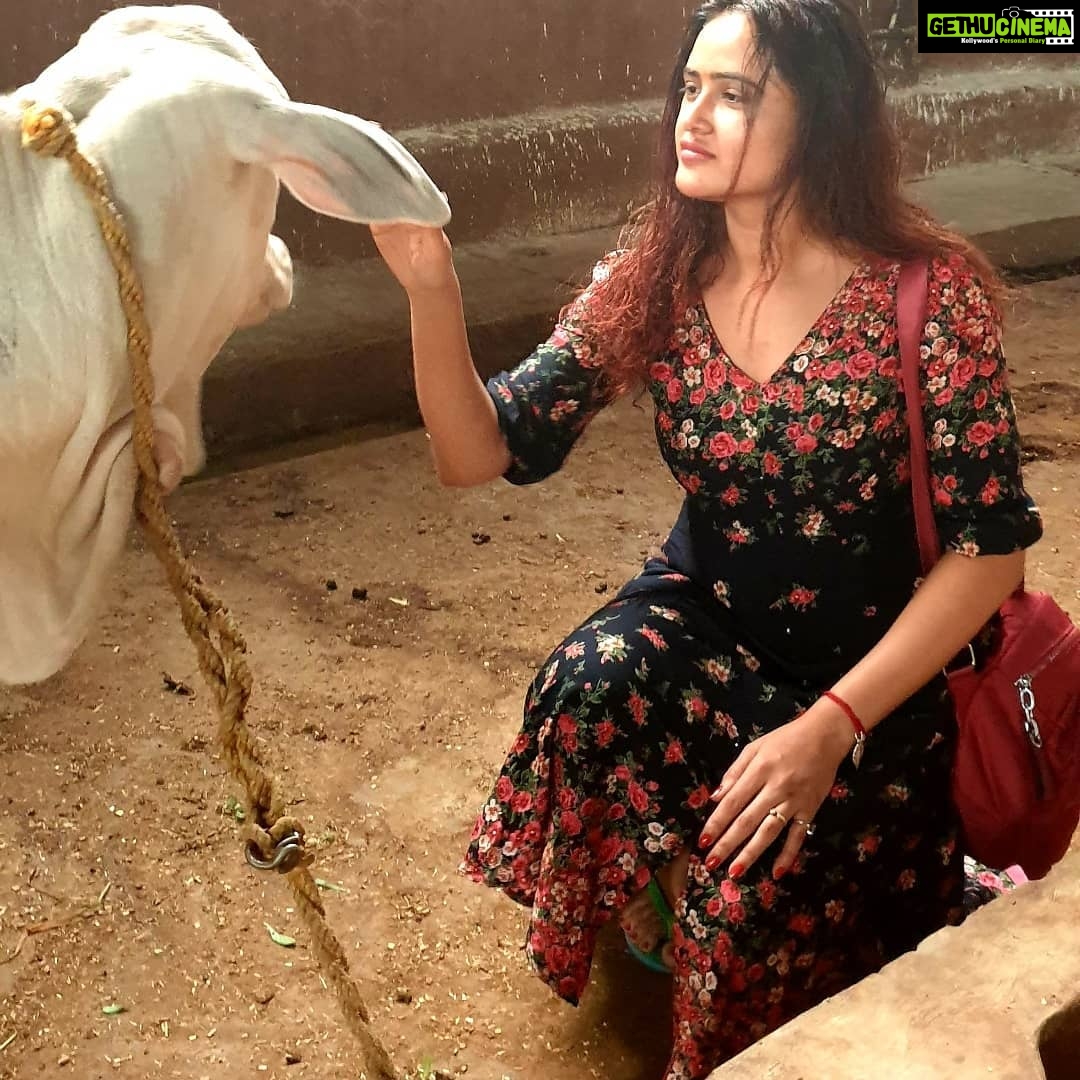 Sony Charishta Instagram - #🤗😊 #tamilactress #telugu #traditional #animaslover #animals #face #fashionlover #@animalflowofficial #green #makeup #mollywodactress #modeling #eyemakeup #kollywoodactress #kannda #blackandwhite #bestphoto #chennai #beutiful #actress