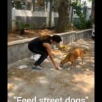Sony Charishta Instagram - #feed street dogs #show some humanity #let us share some food and water of ours so they can survive. 😊🐕🐕🐶🐶