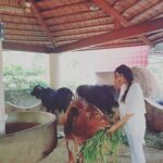 Sony Charishta Instagram -