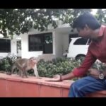 Soori Instagram - 🙈🙉🙊 #monkey #throwback #shootdays #animallovers