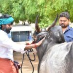 Soori Instagram - ஊரடங்குக்கு நடுவுல ஊரே அடங்கி நிக்கும் - எங்க "கருப்பன்" நடந்து போனா!! @ ராஜாக்கூர்,மதுரை Madurai, India