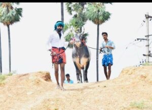Soori Instagram - ஊரடங்குக்கு நடுவுல 
ஊரே அடங்கி நிக்கும் - எங்க "கருப்பன்" நடந்து போனா!!
@ ராஜாக்கூர்,மதுரை