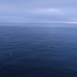 Sri Divya Instagram – Repost from @sealegacy . It’s time to stop the needless slaughter of dolphins, whales, sea turtles, and other marine wildlife by driftnets off the coast of California. Sign the petition at the link in our bio to stop the deadly use of driftnets.

California banned driftnet fishing in state waters, but it continues in federal waters. The nets, used to catch swordfish, are miles long and hundreds of feet deep and they ensnare and kill everything in their path. The bycatch rate is astronomical – for every swordfish caught in these nets, as many as seven other marine animals may become collateral damage.

In 2020, both houses in the United States Congress passed a bill to ban the practice in federal waters, but Trump vetoed the bill. It has now been reintroduced and is being considered in the United States Senate and House. Please join us and demand that California put an end to driftnets.

Video by @paulnicklen

@onlyone @seaspiracy #driftnets #deathnets #uscongress #seaspiracy #savetheocean #petition #illegalfishing #turningthetide #oceanconservation