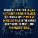 Sri Divya Instagram - Posted @withregram • @seaspiracy Sharks are one of the most misunderstood marine animals in our oceans. Often depicted in movies as savage killers, sharks actually play a vital role in keeping the seas healthy and productive. So what would happen if sharks were to disappear from our oceans? Small fish populations would explode, leading to fast declines in other species due to over-consumption and the small fish populations would eventually starve themselves. Algae and bacteria would then smother the coral reefs, so they can no longer photosynthesis. Species diversity would totally disappear. But sharks are disappearing from our oceans in massive numbers. Due to industrial fishing, 11,000-30,000 sharks are killed EVERY HOUR. Help us put a stop to this destruction. Share this post to help us raise awareness this #SharkAwarenessDay Incredible Images by: @mikecoots