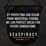 Sri Divya Instagram – Posted @withregram • @seaspiracy Today is #WorldOrcaDay so we wanted to take a look at why Orcas (also known as Killer Whales) are so important to our oceans and what is threatening them!